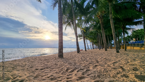 Dongtan Beach Pattaya Jomtien Thailand, palm trees on the beach during sunset.  photo
