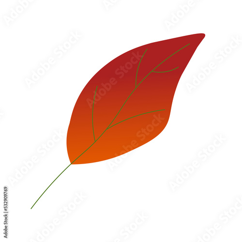 Colored autumn leaf. Vector illustration. For the design of prints, cards, flyers, clothing, packaging, brochures and covers.
