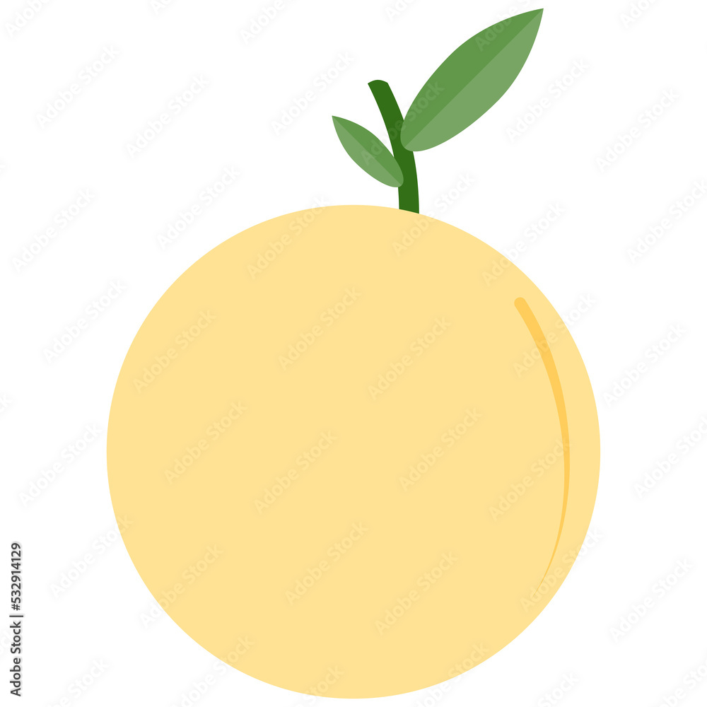 orange fruit flat design collection set orange fruit flat design collection set