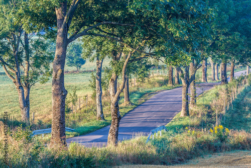 Fototapeta Naklejka Na Ścianę i Meble -  View of the Masurian road.