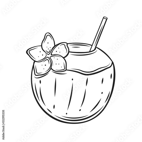 Coconut cocktail outline icon vector illustration. Hand drawn black line green coco fruit with straw for drinking healthy fresh and vitamin juice drink on tropical summer beach and plumeria flower