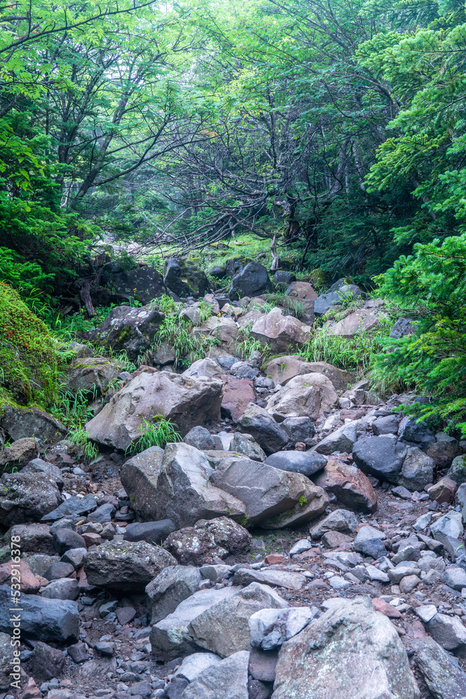 蓼科山登山口コース 八ヶ岳の風景 蓼科山登山口コース 八ヶ岳の風景