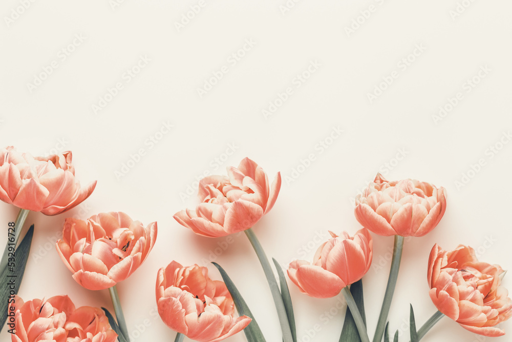 Spring flowers, tulips on pastel colors background. Retro vintage style. Spring flowers, tulips on pastel colors background. Retro vintage style.