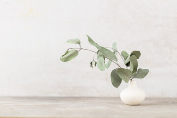 Green eucalyptus leaves in vase. Front view. Place for text, copy space, mockup.