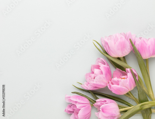 Pink tulip flowers on pastel background. © gitusik