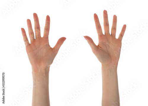 Принти на полотні Female hands showing ten fingers isolated on white background