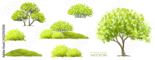 Vector watercolor of tree side view isolated on white background for landscape  and architecture drawing, elements for environment and garden, painting botanical for section 