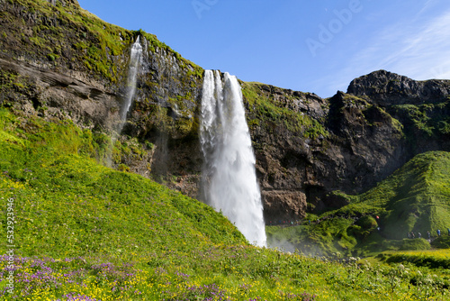 Fototapeta Naklejka Na Ścianę i Meble -  the Seljalandsfoss in summer, Iceland