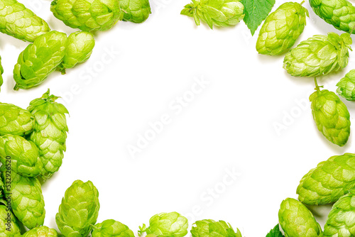 The border frame is made of green hops cones. Brewery concept background. Octoberfest theme.