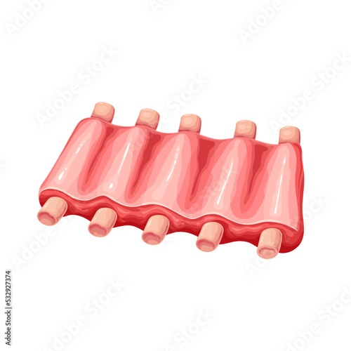 Pork ribs. Raw meat pork vector icon. Meat product illustration.