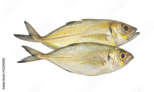 Two fresh bigeye scad fishes isolated on white 