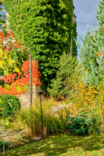 Garden Plot in Autumn photo