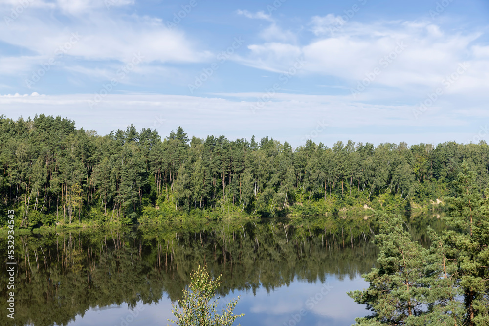 Trees in a mixed forest near the river in the summer season