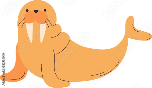 walrus sea animal cartoon art photo