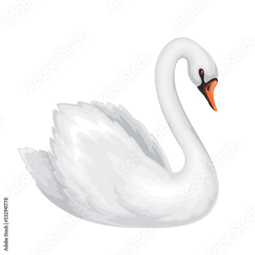 Fototapeta Naklejka Na Ścianę i Meble -  White swan vector illustration. Cartoon isolated beautiful waterfowl bird with fluffy feathers on graceful wings and beak, swan swimming in water, abstract symbol of peace, elegance and purity