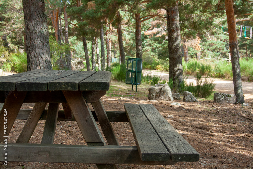 wooden bench in a forest picnic area