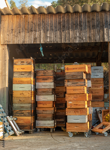 stacked wooden boxes for forager bee hives