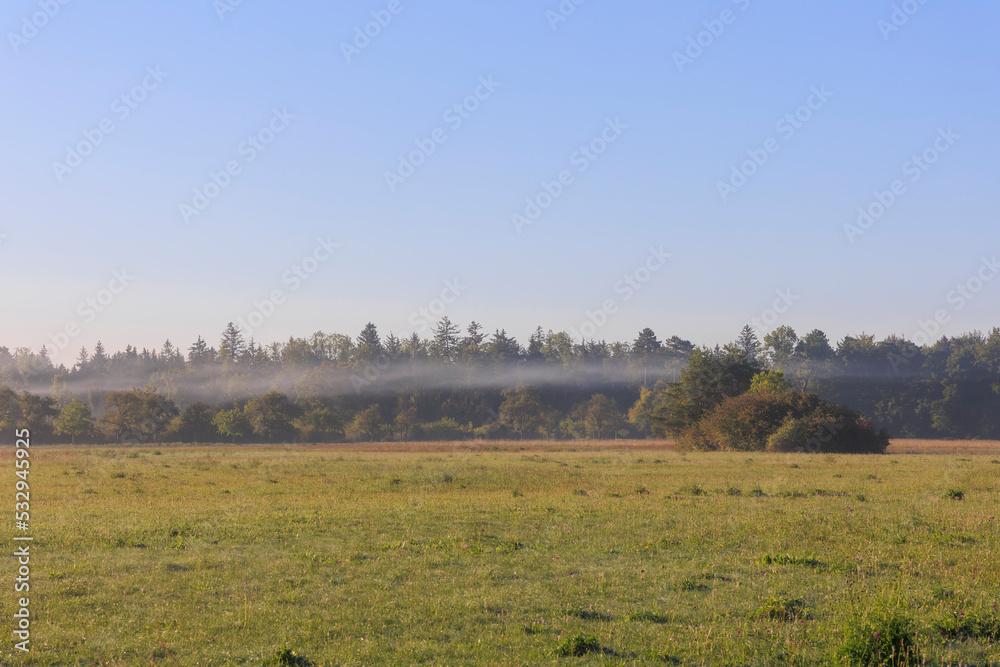 Clouds of fog on a sunny morning over the meadows in Siebenbrunn near Augsburg