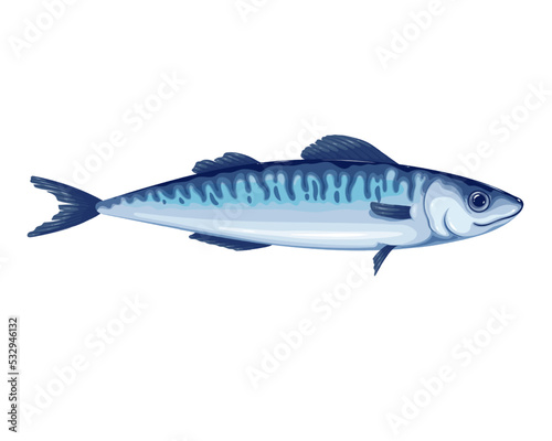 Mackerel vector illustration. Cartoon isolated fresh raw saury or scomber fish, sea or ocean underwater animal and fishing industry product, mackerel fish for mediterranean diet and healthy nutrition
