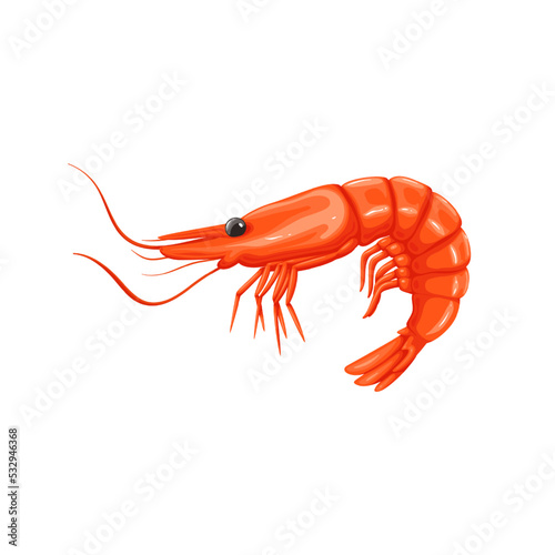 Shrimp vector illustration. Cartoon isolated seafood restaurant menu product, whole sea or ocean prawn with red meat of tail, shell and head, food ingredient to cook delicacy gourmet healthy meals