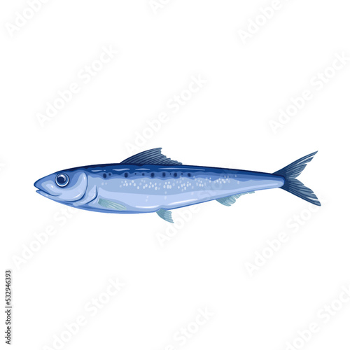 Sardine, sea or ocean fish and seafood vector illustration. Cartoon isolated whole underwater small marine animal, raw fishing product for cooking fresh traditional food of Mediterranean cuisine