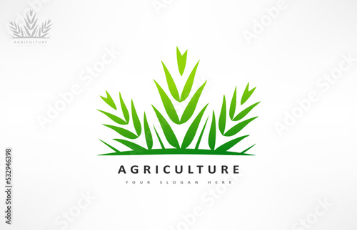 Agriculture logo. Wheat plant vector.