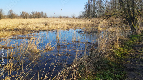 Landscape of Dutch Biesbosch National Park in wintertime