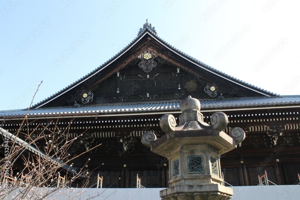 Fototapeta premium 京都 知恩院