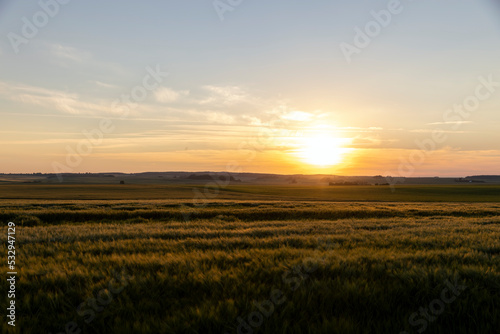 Sunset on an agricultural field in the summer © rsooll