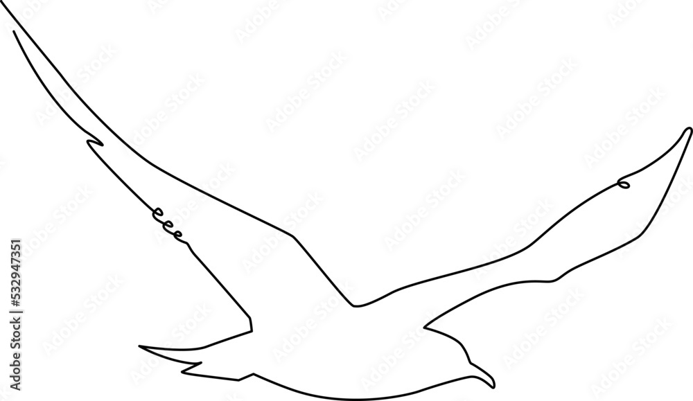 Obraz premium Flying bird Silhouette line. Continuous line drawing. Vector illustration.