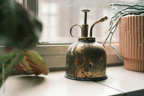 plant mister