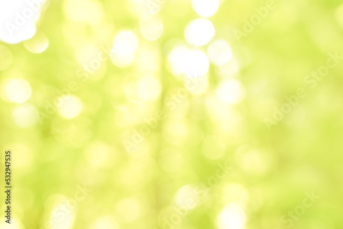 nature bokeh sun light and blur leaf abstract texture background