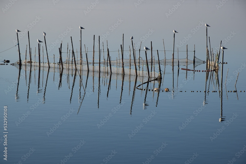 Lagoon with sticks and birds in sight, tradicional fishing in the lagoon os Valencia. Spain Lagoon with sticks and birds in sight, tradicional fishing in the lagoon os Valencia. Spain