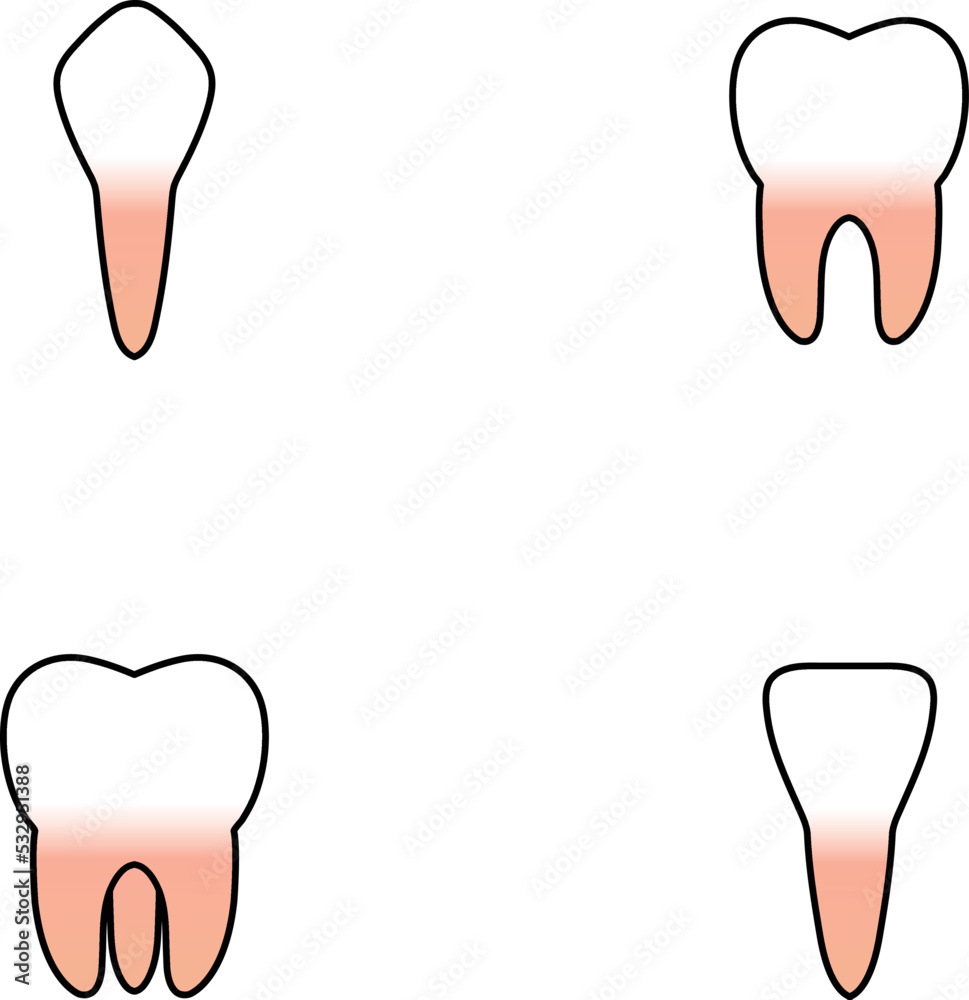 Obraz premium Tooth Vector illustration. tooth clip art or image.