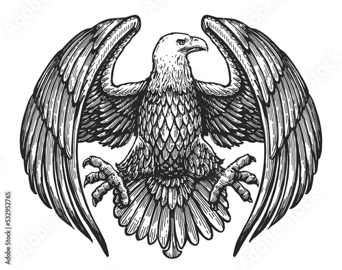 Eagle with spread wings. Royal symbol. Hand drawn sketch in vintage engraving style. Vector illustration