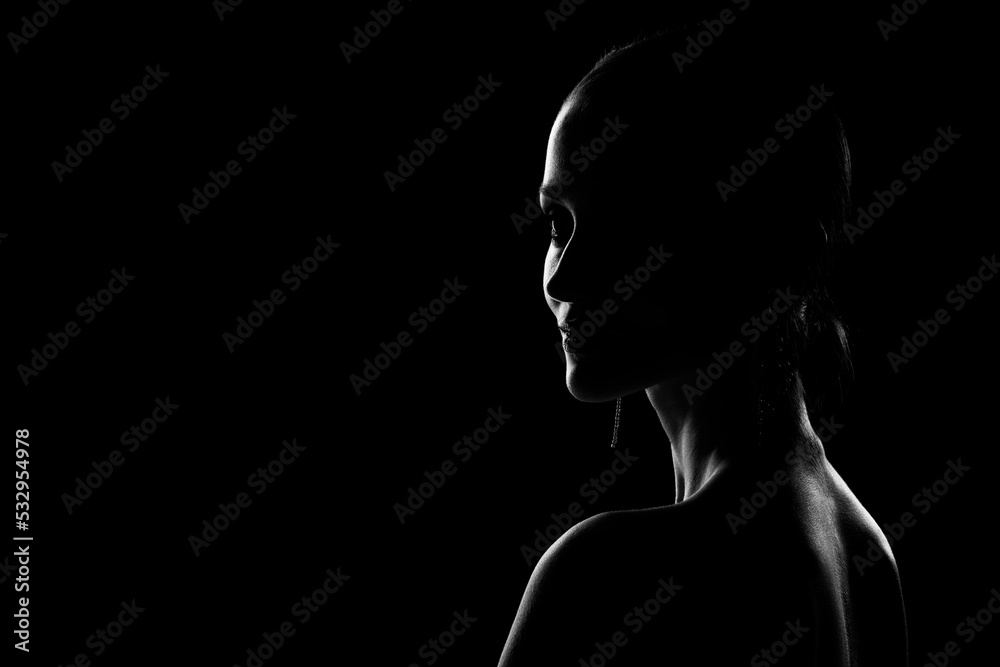 beautiful female silhouette