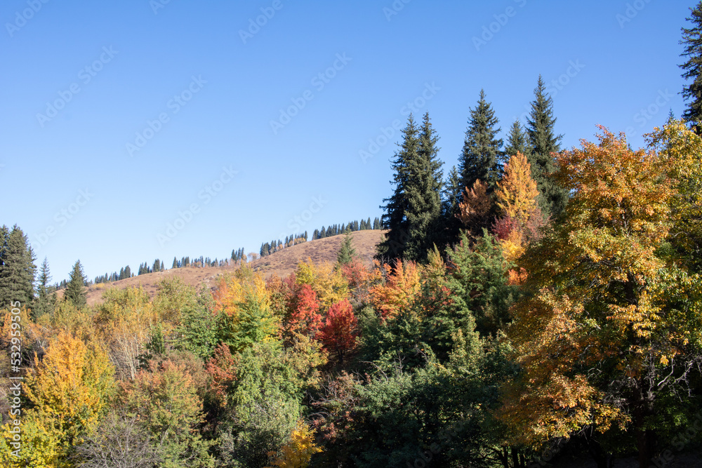 early autumn in the mountains, yellow red green trees. early autumn in the mountains, yellow red green trees.