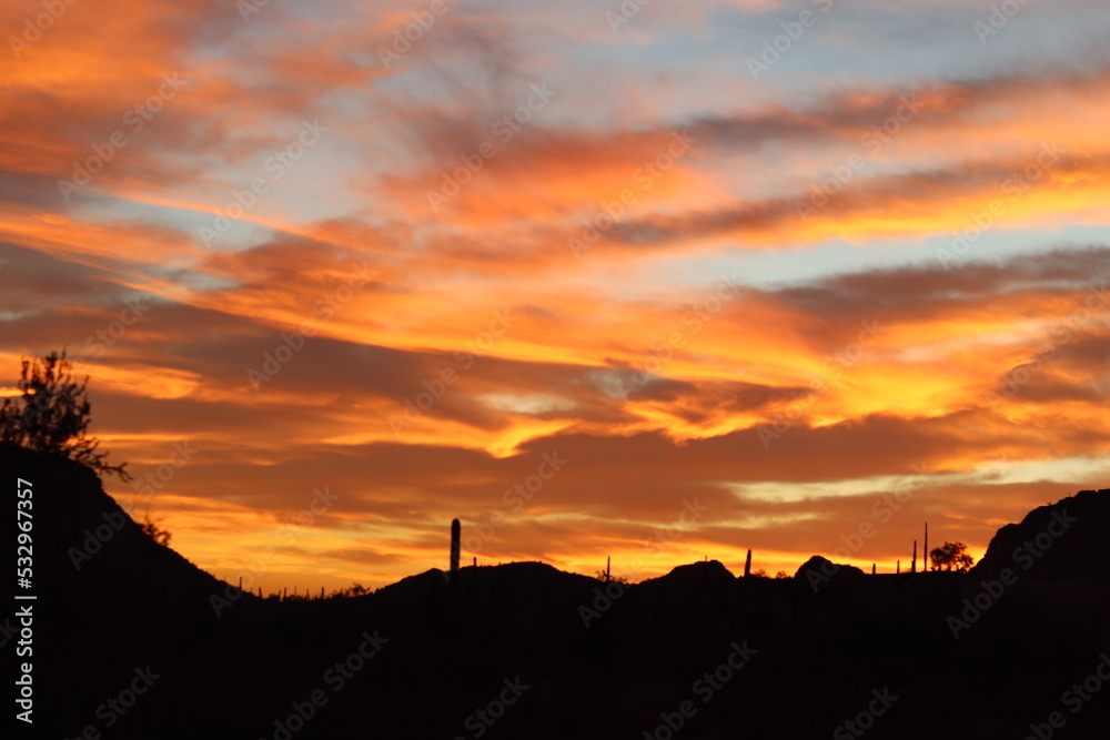 Sunset in the Sonoran Desert