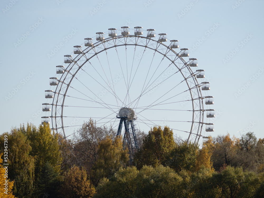 ferris wheel in the park