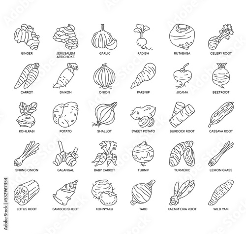 Set of Root Vegetables thin line icons for any web and app project.