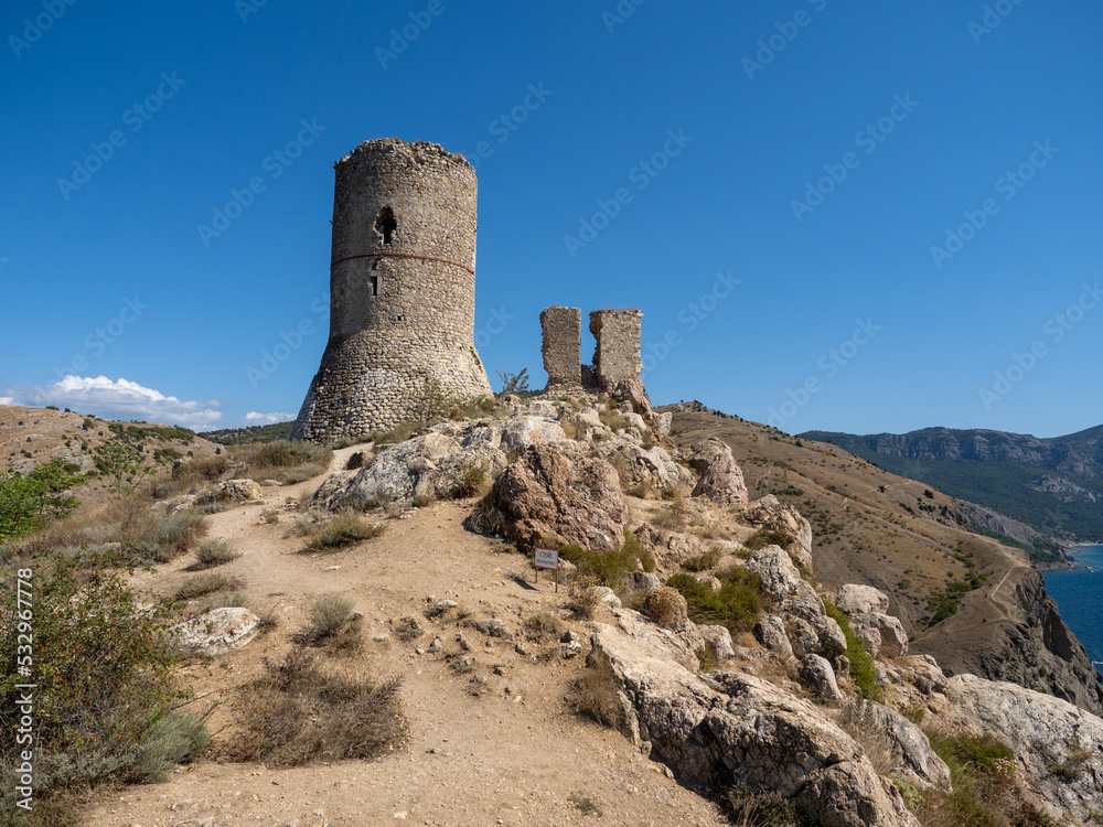 ruins of the castle