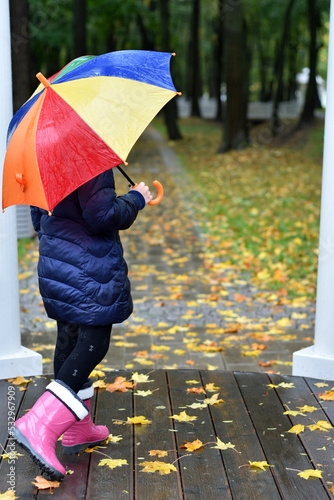 Rear view of a girl with a bright umbrella against the background of a wet park path in fallen autumn leaves.