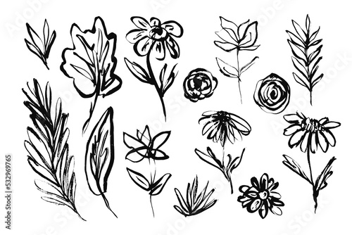 Set of hand drawn black ink flowers, leaves and grass. Sketch inky textured floral blossoms and botanical elements for pattern design, greeting card decoration, logo