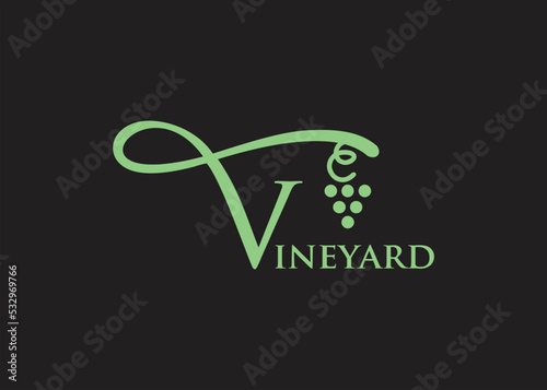 vineyard logo design grape plant with abstract letter V