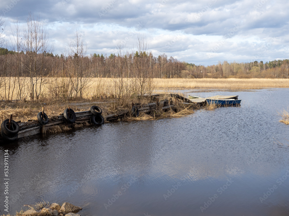 lake in the forest