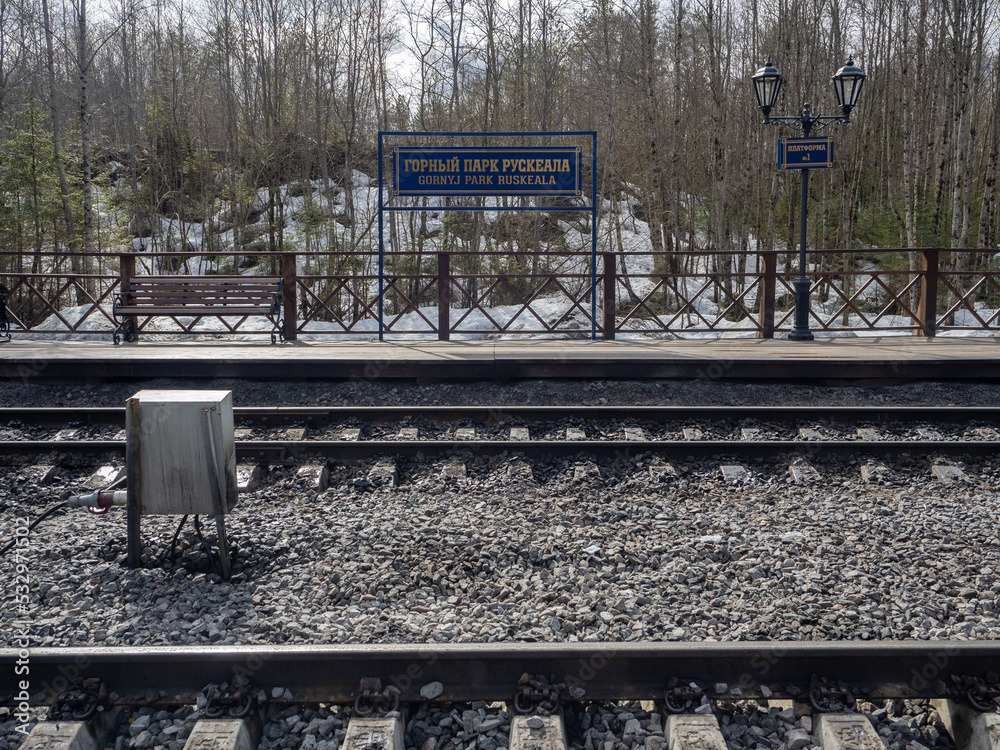 railroad tracks in the forest