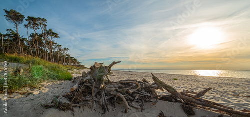 Fototapeta Naklejka Na Ścianę i Meble -  Panorama Weststrand an der Ostsee - Fischland Darß Zingst