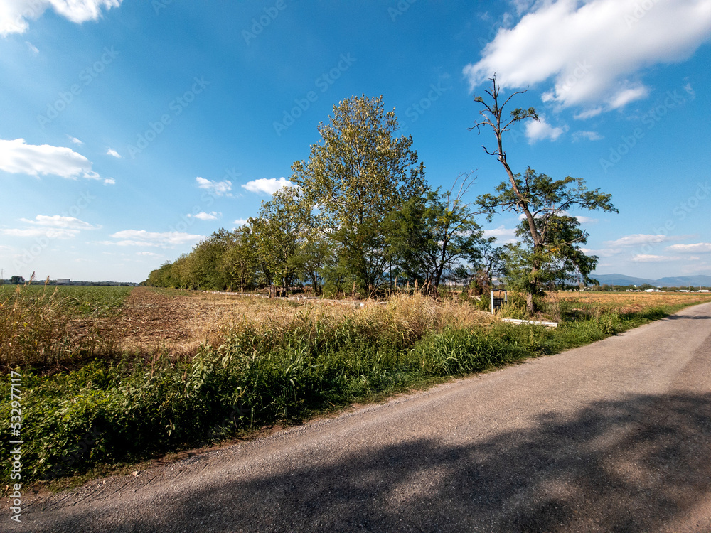 Obraz premium campagna in estate