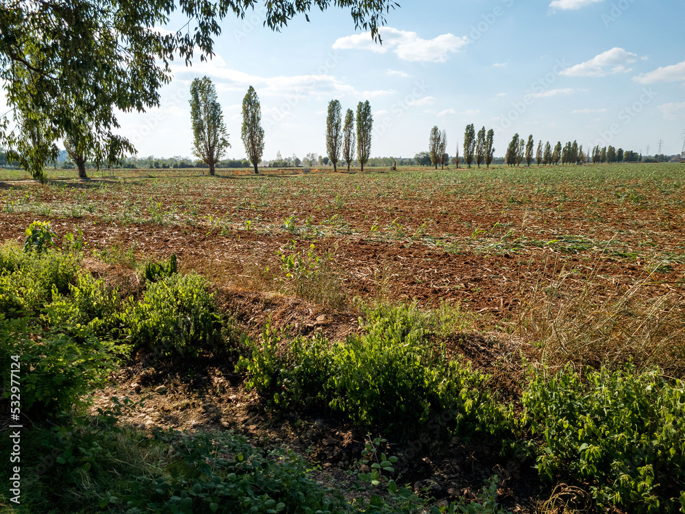 Obraz premium campagna in estate