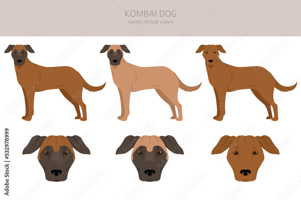 Kombai dog clipart. Different coat colors set